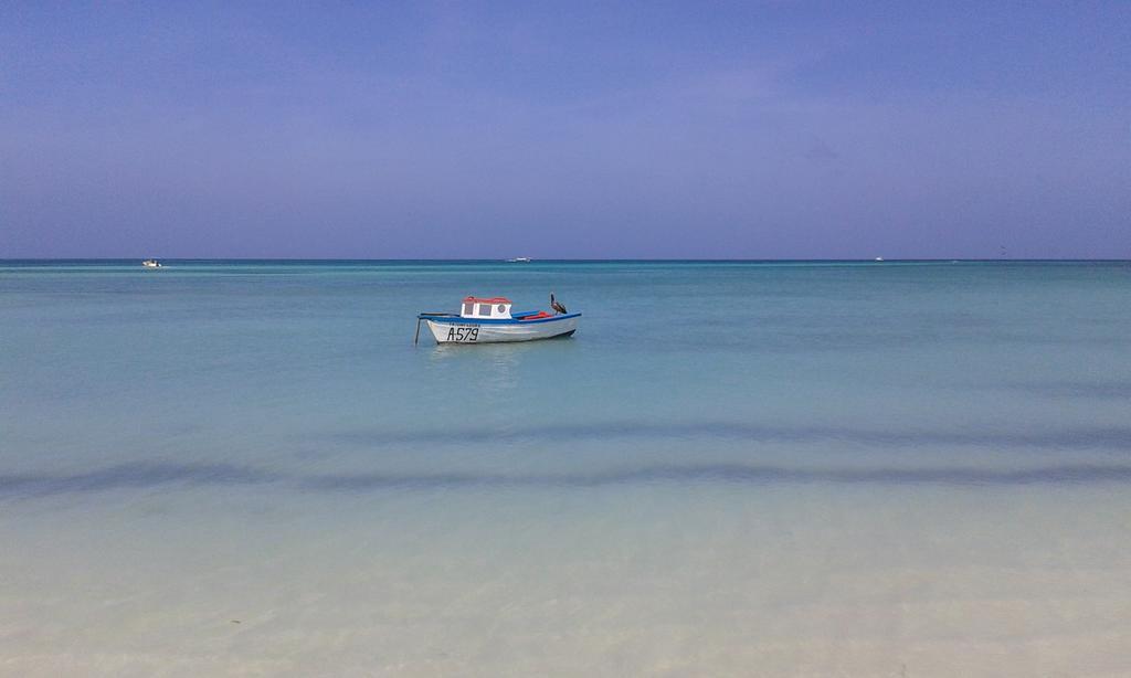 Karibu Aruba Boutique Hotel Palm Beach Eksteriør bilde