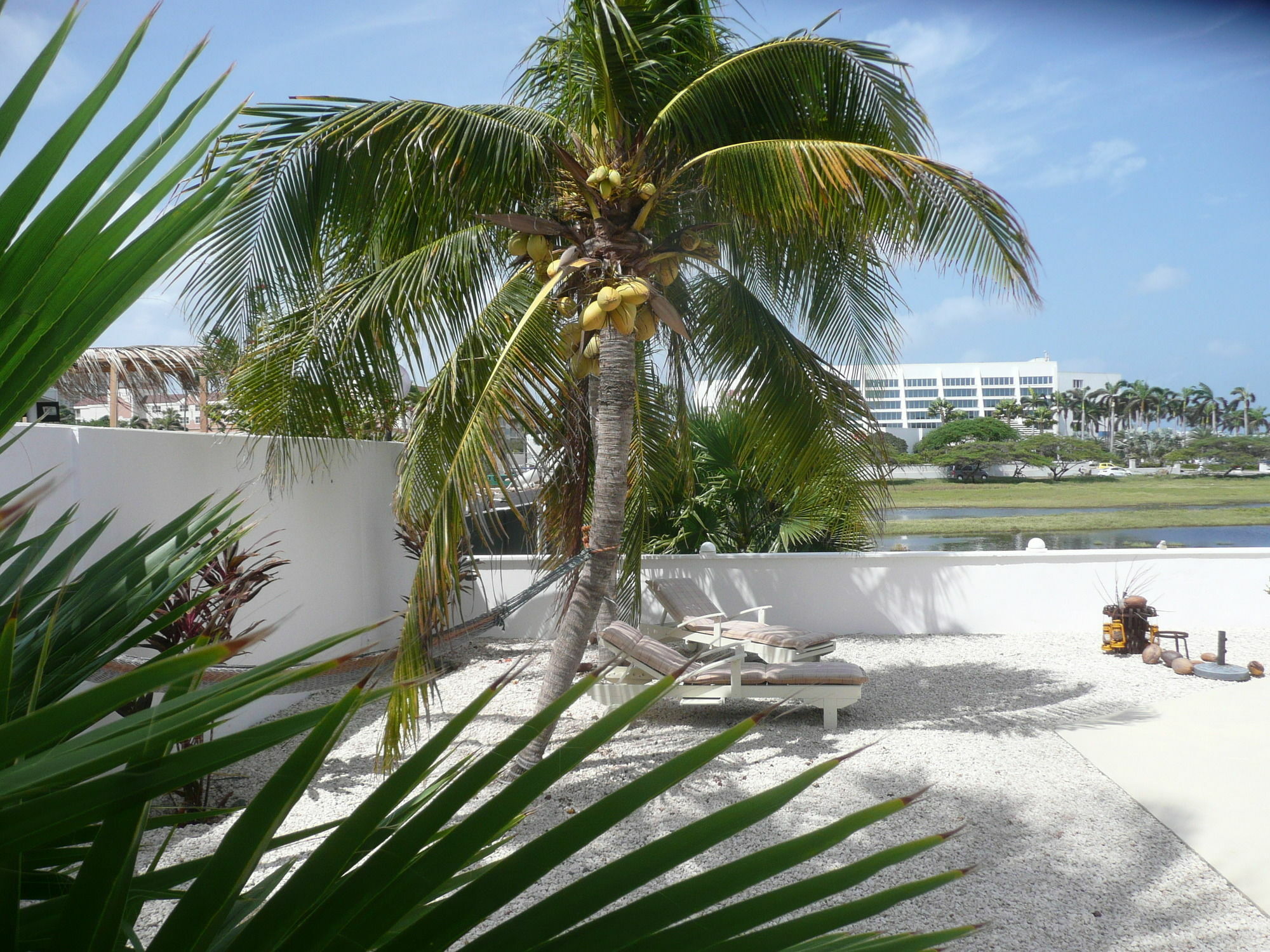 Karibu Aruba Boutique Hotel Palm Beach Eksteriør bilde